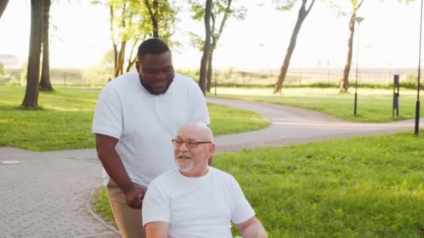Afro-Amerikalı bakıcı ve tekerlekli sandalyedeki yaşlı engelli adam. Parktaki profesyonel hemşire ve özürlü hasta. Yardım, rehabilitasyon ve sağlık hizmetleri. — Stok video
