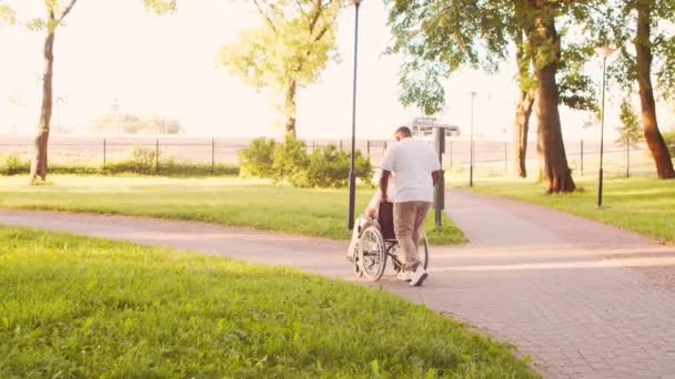 African-American caregiver and old disabled man in a wheelchair. Professional nurse and handicapped patient in the park. Assistance, rehabilitation and health care. Golden hour sunset. — Stock Video