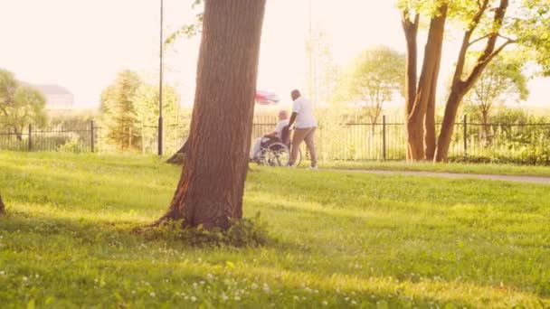 Cuidador afroamericano y anciano discapacitado en silla de ruedas. Enfermera profesional y paciente discapacitado en el parque. Asistencia, rehabilitación y atención médica. Atardecer hora dorada. — Vídeo de stock