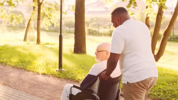 African-American caregiver and old disabled man in a wheelchair. Professional nurse and handicapped patient in the park. Assistance, rehabilitation and health care. Golden hour sunset. — Stock Video