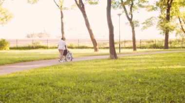 Afro-Amerikalı bakıcı ve tekerlekli sandalyedeki yaşlı engelli adam. Parktaki profesyonel hemşire ve özürlü hasta. Yardım, rehabilitasyon ve sağlık hizmetleri. Altın saat gün batımı.