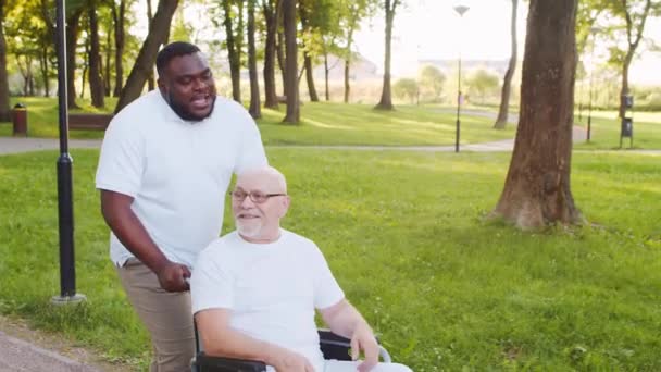 Afro Amerikaanse Verzorger Oude Gehandicapte Man Een Rolstoel Professionele Verpleegkundige — Stockvideo