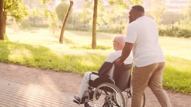 Afro Amerikalı Bakıcı Tekerlekli Sandalyedeki Yaşlı Engelli Adam Parktaki Profesyonel — Stok video