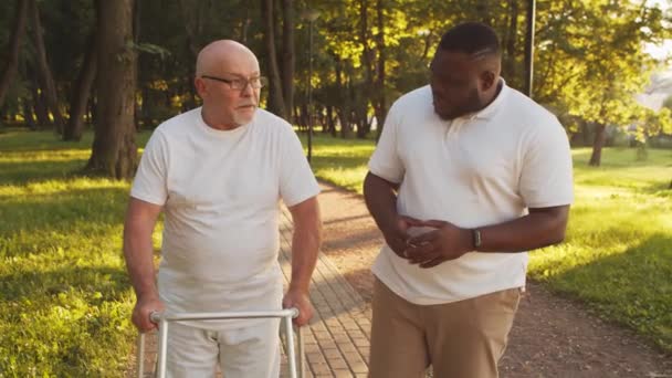 El cuidador afroamericano está enseñando a un anciano discapacitado a caminar con Walker. Enfermera profesional y paciente discapacitado en el parque. Asistencia, rehabilitación y atención médica. Atardecer hora dorada. — Vídeos de Stock