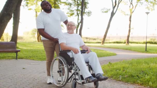 Afrikai-amerikai gondozó és egy tolószékes öregember. Hivatásos ápoló és mozgássérült beteg a parkban. Támogatás, rehabilitáció és egészségügyi ellátás. — Stock videók