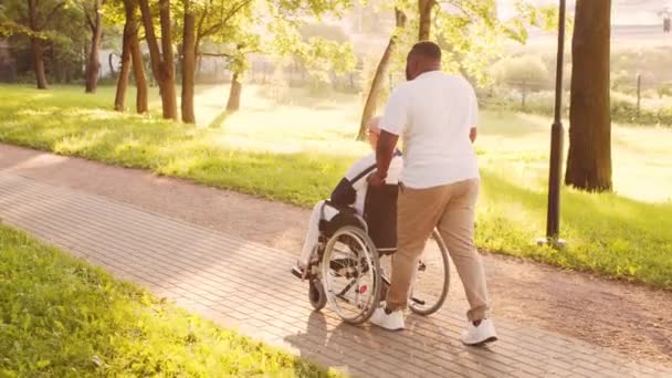 Afroamerykanin i stary inwalida na wózku inwalidzkim. Profesjonalna pielęgniarka i niepełnosprawny pacjent w parku. Pomoc, rehabilitacja i opieka zdrowotna. Złoty zachód słońca. — Wideo stockowe