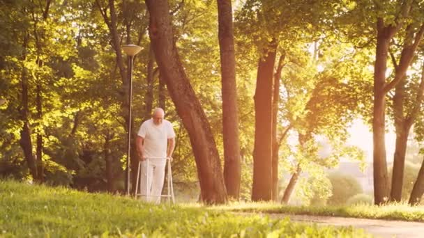 残疾老人和一个行尸走肉在一起。残疾病人在公园里。援助、康复和保健。黄昏时分. — 图库视频影像