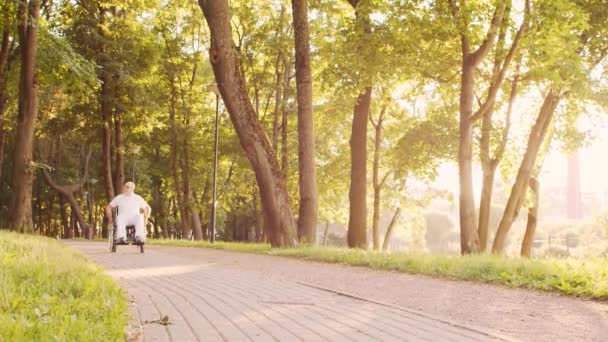 African-American caregiver and old disabled man in a wheelchair. Professional nurse and handicapped patient in the park. Assistance, rehabilitation and health care. Golden hour sunset. — Stock Video