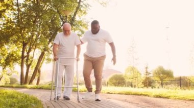 Afro-Amerikalı bakıcı engelli ihtiyara Walker 'la yürümeyi öğretiyor. Parktaki profesyonel hemşire ve özürlü hasta. Yardım, rehabilitasyon ve sağlık hizmetleri. Altın saat gün batımı.