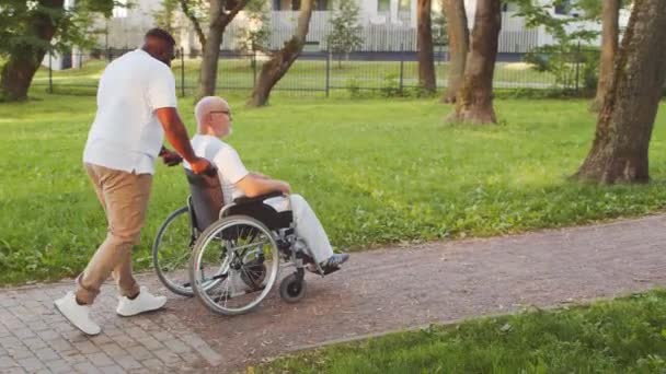アフリカ系アメリカ人の介護者と車椅子の老人。公園内の専門看護師と障害者の患者.援助、リハビリテーション及び医療. — ストック動画