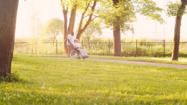 非裔美国人的照料者和坐轮椅的老年残疾人。公园里的专业护士和残疾病人。援助、康复和保健。黄昏时分. — 图库视频影像