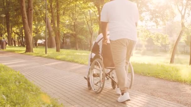 African-American caregiver and old disabled man in a wheelchair. Professional nurse and handicapped patient in the park. Assistance, rehabilitation and health care. Golden hour sunset. — Stock Video