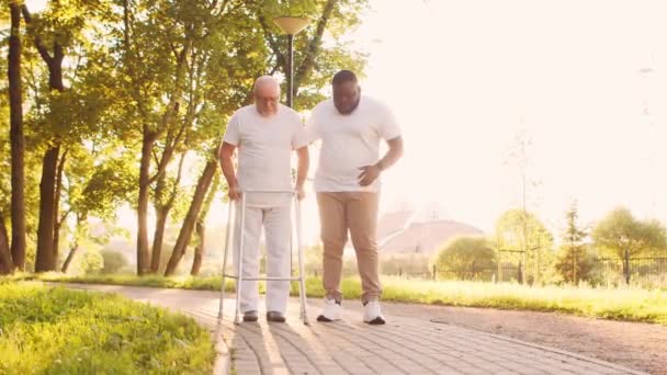 Afrikansk-amerikansk omsorgsperson underviser handicappede gamle mand til at gå med walker. Professionel sygeplejerske og handicappet patient i parken. Bistand, rehabilitering og sundhedspleje. Golden time solnedgang. – Stock-video