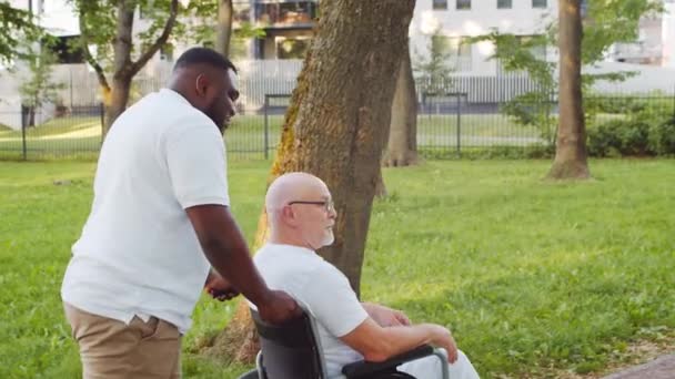Cuidador afroamericano y anciano discapacitado en silla de ruedas. Enfermera profesional y paciente discapacitado en el parque. Asistencia, rehabilitación y asistencia sanitaria. — Vídeos de Stock
