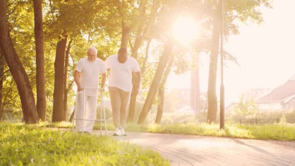 Afro-americký pečovatel učí postiženého starce chodit s chodítkem. Profesionální sestra a handicapovaný pacient v parku. Pomoc, rehabilitace a zdravotní péče. Zlatá hodina západu slunce.