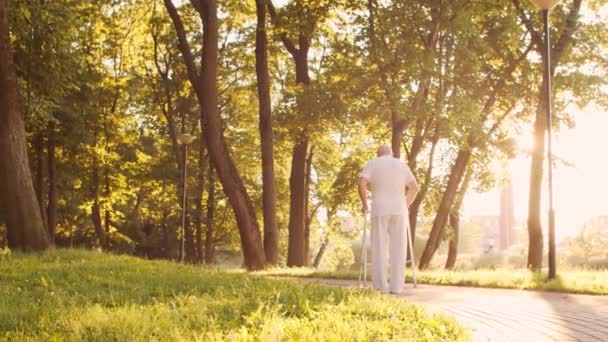 El viejo discapacitado está caminando con un caminante. Paciente discapacitado en el parque. Asistencia, rehabilitación y atención médica. Atardecer hora dorada. — Vídeo de stock