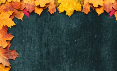 Sonbahar akçaağaç yaprakları eski dokularda. Düşen yapraklar doğal arkaplan. Mevsimlik arkaplan.