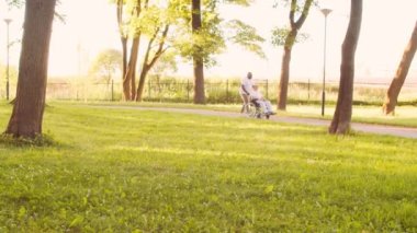 Afro-Amerikalı bakıcı ve tekerlekli sandalyedeki yaşlı engelli adam. Parktaki profesyonel hemşire ve özürlü hasta. Yardım, rehabilitasyon ve sağlık hizmetleri. Altın saat gün batımı.