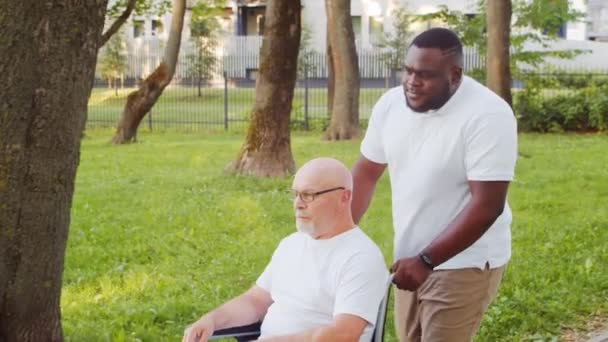 Cuidador afroamericano y anciano discapacitado en silla de ruedas. Enfermera profesional y paciente discapacitado en el parque. Asistencia, rehabilitación y asistencia sanitaria. — Vídeos de Stock