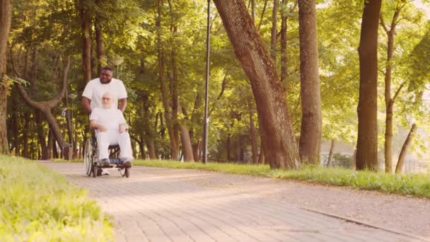 Cuidador afroamericano y anciano discapacitado en silla de ruedas. Enfermera profesional y paciente discapacitado en el parque. Asistencia, rehabilitación y atención médica. Atardecer hora dorada. — Vídeos de Stock