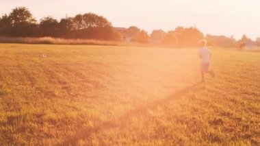 Çocuk gün batımında bir tarlada oyuncak bir uçakla oynuyor. Çocukluk, özgürlük ve ilham konsepti.
