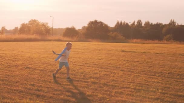 El chico juega con un avión de juguete en un campo al atardecer. El concepto de infancia, libertad e inspiración. — Vídeo de stock