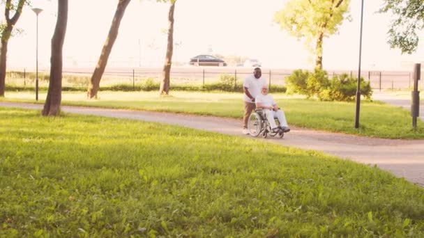 Afrikai-amerikai gondozó és egy tolószékes öregember. Hivatásos ápoló és mozgássérült beteg a parkban. Támogatás, rehabilitáció és egészségügyi ellátás. Arany óra naplemente. — Stock videók