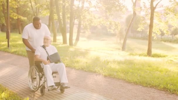 Cuidador afroamericano y anciano discapacitado en silla de ruedas. Enfermera profesional y paciente discapacitado en el parque. Asistencia, rehabilitación y atención médica. Atardecer hora dorada. — Vídeos de Stock