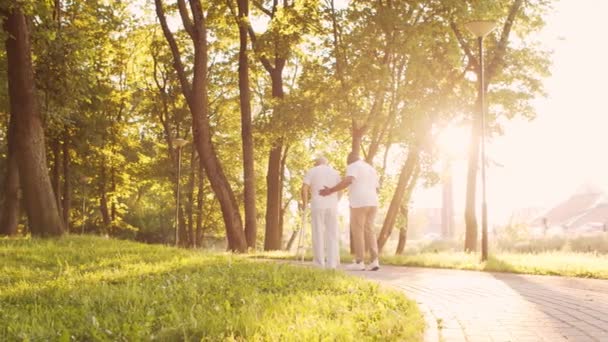 El cuidador afroamericano está enseñando a un anciano discapacitado a caminar con Walker. Enfermera profesional y paciente discapacitado en el parque. Asistencia, rehabilitación y atención médica. Atardecer hora dorada. — Vídeo de stock