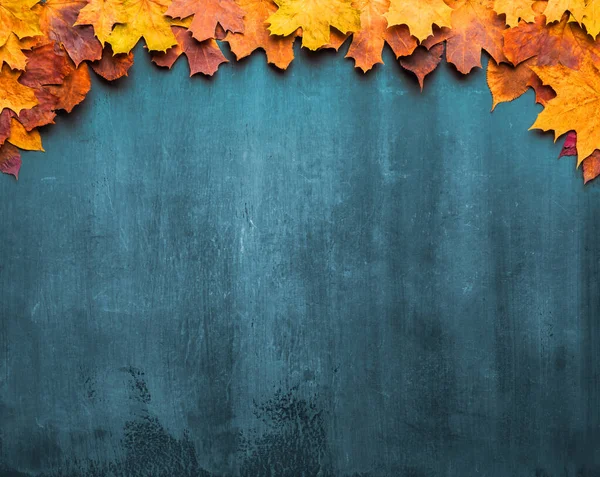 Herfst esdoorn bladeren op oude textuur. Vallende bladeren natuurlijke achtergrond. Seizoen achtergrond. — Stockfoto