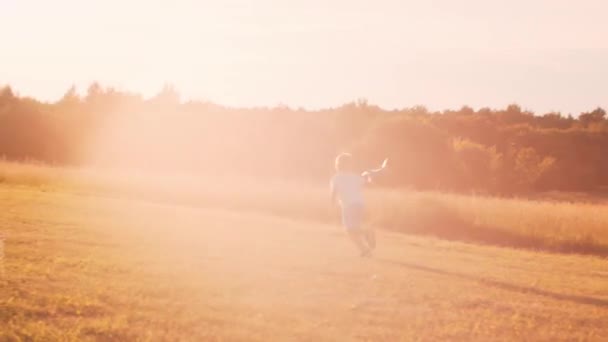 Pojken leker med ett leksaksplan på ett fält vid solnedgången. Begreppet barndom, frihet och inspiration. — Stockvideo