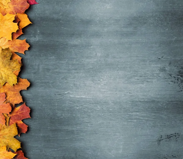 Herfst esdoorn bladeren op oude textuur. Vallende bladeren natuurlijke achtergrond. Seizoen achtergrond. — Stockfoto