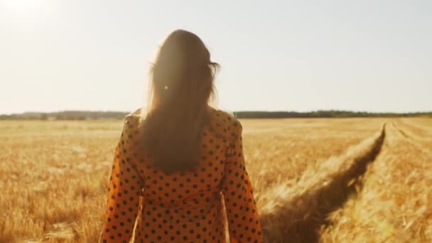 Bella giovane donna cammina attraverso il campo e tocca la segale con la mano. Ragazza ai raggi del tramonto. Libertà e felicità. — Video Stock