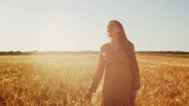 Zwangere vrouw in de stralen van de zonsondergang. Mooi jong meisje loopt in het veld en verwacht de geboorte van een kind. Het begrip moederschap en zwangerschap. — Stockvideo