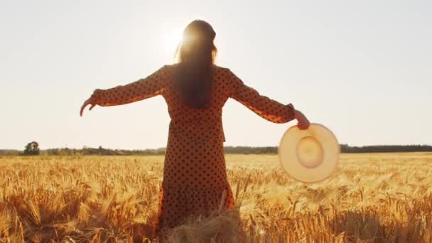 Mooie jonge vrouw danst in het veld. Meisje in de stralen van de zonsondergang. Vrijheid en geluk. — Stockvideo