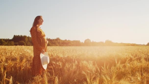 Pregnant woman in the rays of the sunset. Beautiful young girl is walking in the field expecting the birth of a child. The concept of motherhood and pregnancy. — Stock Video