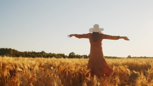 Zadní část krásné mladé těhotné ženy v paprscích západu slunce. Dívka na venkovském poli. Svoboda a štěstí. — Stock video