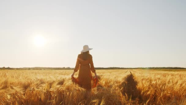 Kauniin nuoren raskaana olevan naisen selässä auringonlaskussa. Tyttö maaseudulla kentällä. Vapaus ja onni. — kuvapankkivideo