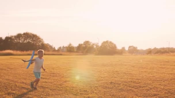 Jongen speelt met een speelgoedvliegtuig in een veld bij zonsondergang. Het concept van kindertijd, vrijheid en inspiratie. — Stockvideo