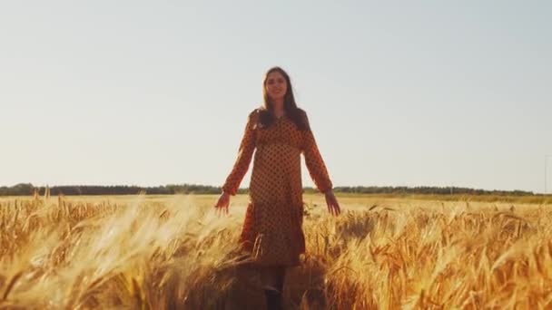 Mujer embarazada en los rayos del atardecer. Hermosa joven está caminando en el campo esperando el nacimiento de un niño. El concepto de maternidad y embarazo. — Vídeos de Stock