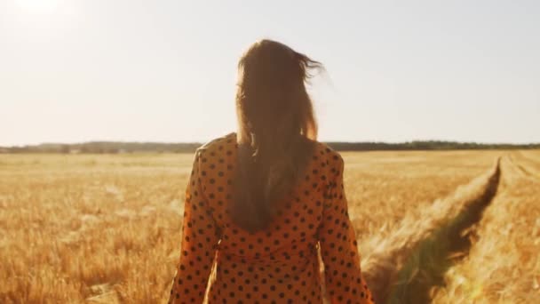 Mooie jonge vrouw loopt over het veld en raakt rogge aan met haar hand. Meisje in de stralen van de zonsondergang. Vrijheid en geluk. — Stockvideo