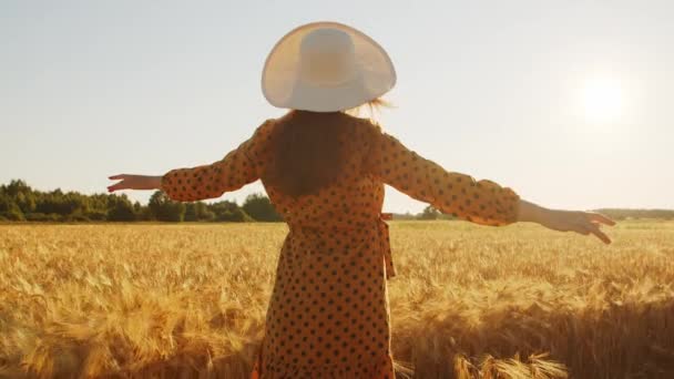 Achterzijde van een mooie jonge zwangere vrouw in de stralen van de zonsondergang. Meisje op het platteland. Vrijheid en geluk. — Stockvideo