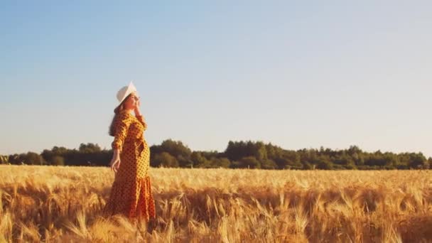 Mujer embarazada en los rayos del atardecer. Hermosa joven está caminando en el campo esperando el nacimiento de un niño. El concepto de maternidad y embarazo. — Vídeo de stock