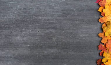 Sonbahar akçaağaç yaprakları eski dokularda. Düşen yapraklar doğal arkaplan. Mevsimlik arkaplan.