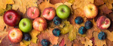 Sonbahar akçaağaç yaprakları eski dokularda. Düşen yapraklar doğal arkaplan. Mevsimlik arkaplan.