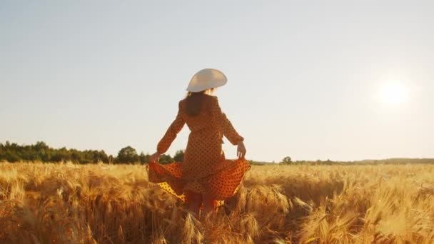 Parte posterior de una hermosa joven embarazada en los rayos de la puesta del sol. Una chica en el campo. Libertad y felicidad. — Vídeo de stock