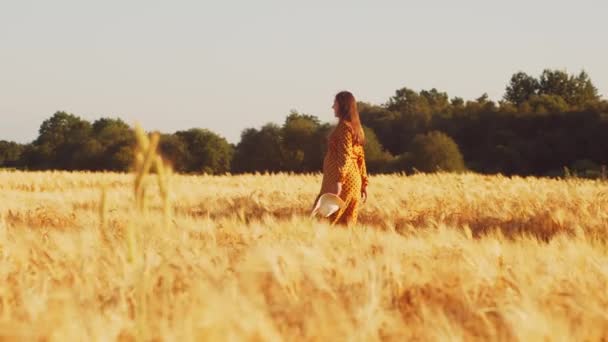 Mujer embarazada en los rayos del atardecer. Hermosa joven está caminando en el campo esperando el nacimiento de un niño. El concepto de maternidad y embarazo. — Vídeo de stock