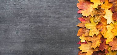 Sonbahar akçaağaç yaprakları eski dokularda. Düşen yapraklar doğal arkaplan. Mevsimlik arkaplan.