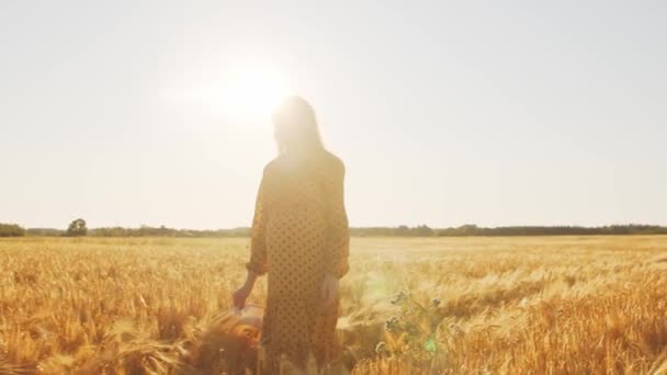 Mujer embarazada en los rayos del atardecer. Hermosa joven está caminando en el campo esperando el nacimiento de un niño. El concepto de maternidad y embarazo. — Vídeos de Stock