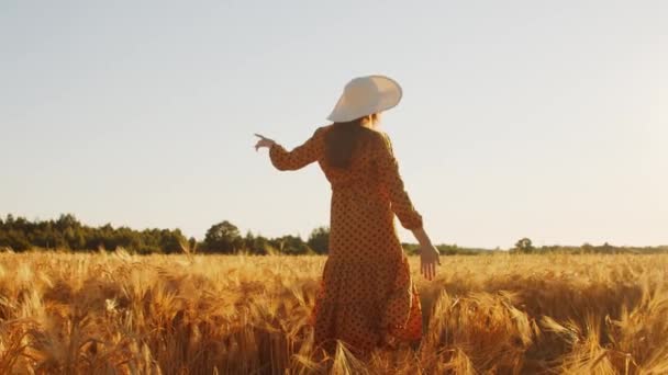 Achterzijde van een mooie jonge zwangere vrouw in de stralen van de zonsondergang. Meisje op het platteland. Vrijheid en geluk. — Stockvideo